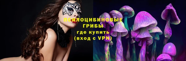 мдпв Волосово