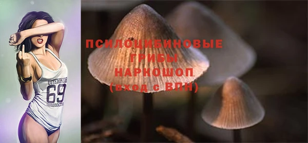 соль ск Володарск