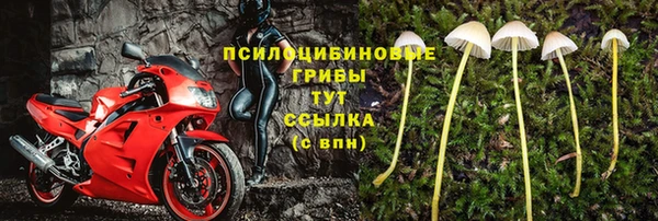 мдпв Верея