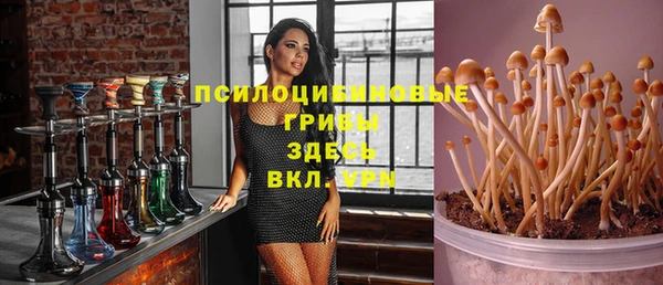 соль ск Володарск