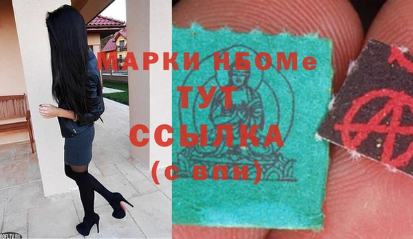 амф Верхний Тагил